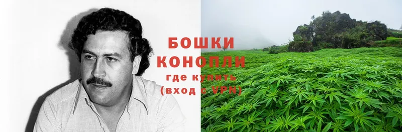 МАРИХУАНА OG Kush  купить  цена  Богородск 